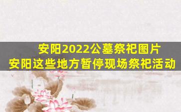 安阳2022公墓祭祀图片 安阳这些地方暂停现场祭祀活动